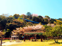 吉田公園