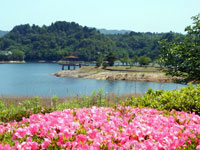 池田池公園