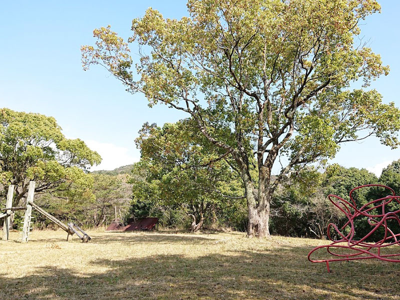 大山岬公園