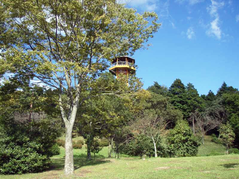 飛形自然公園