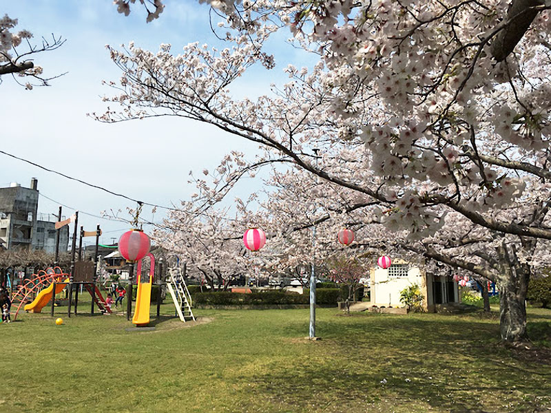 平池公園