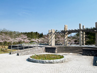 野木和公園