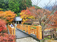 鍋島藩窯公園