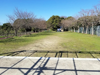 神の島公園