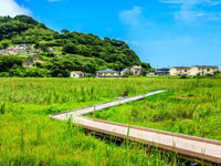 黒崎永田湿地自然公園