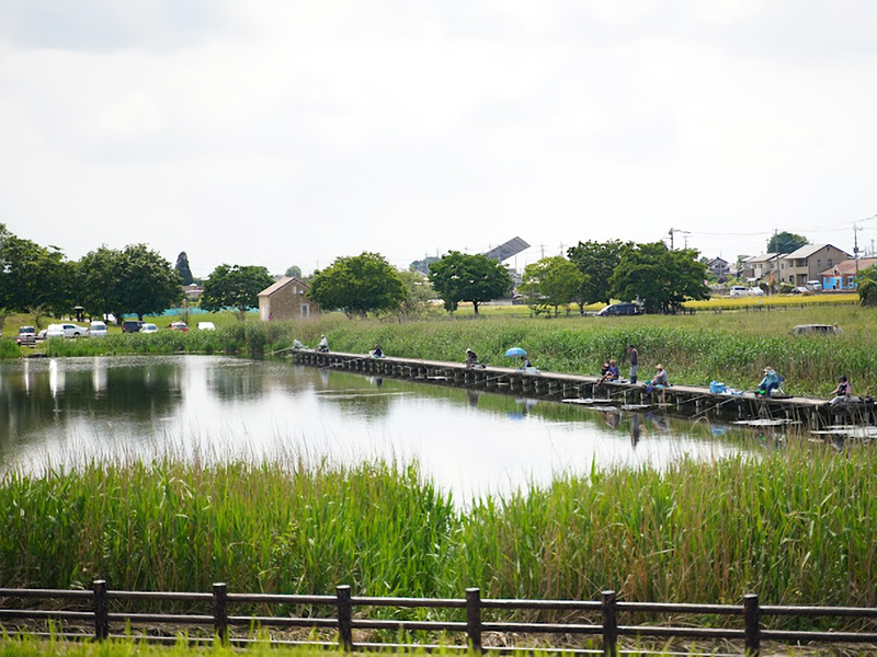 中野沼公園