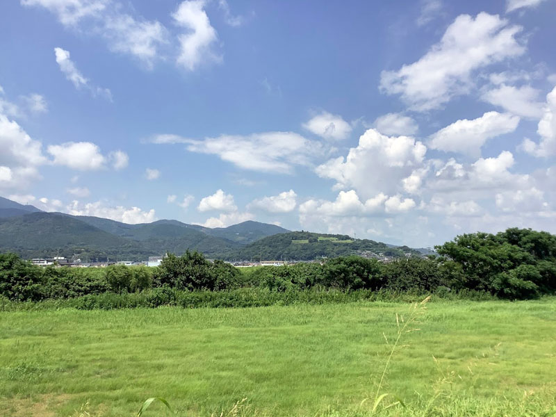 白川飽田緑地