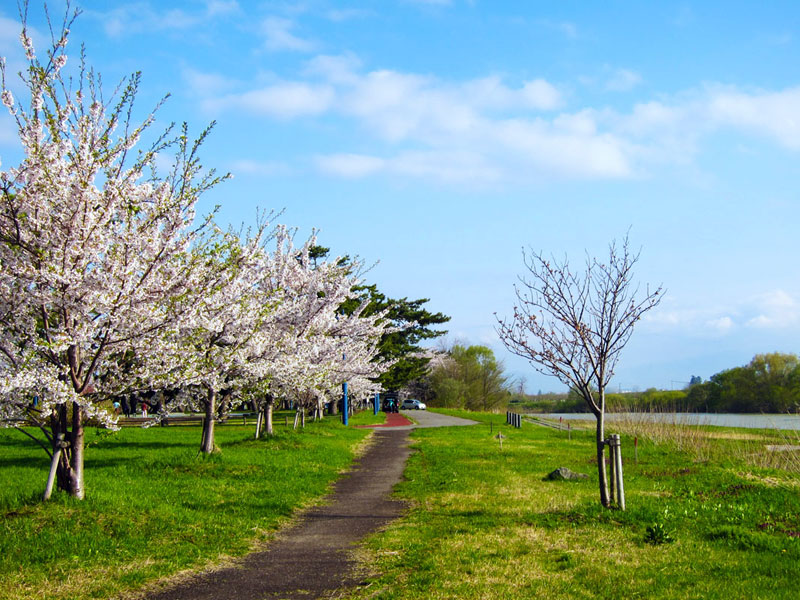 岩木川河川公園