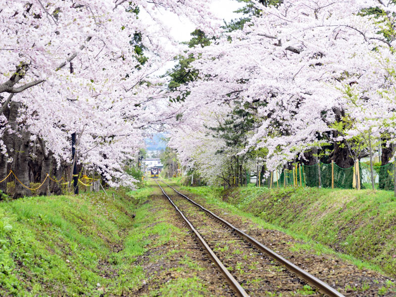 芦野公園