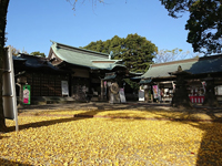 四ツ山公園