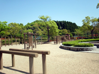 桃田運動公園