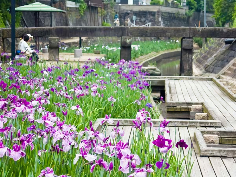 裏川水際緑地