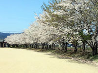 境目児童公園