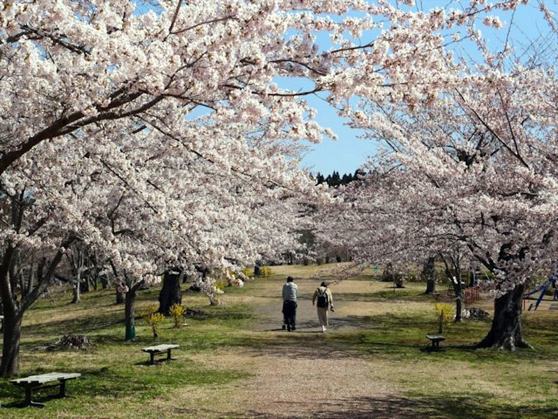 早掛沼公園