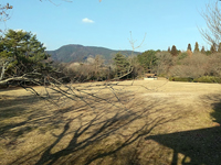竜体山公園