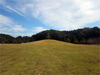 田来原美しい森づくり公園