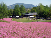 延岡植物園