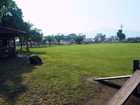 ひまわり公園