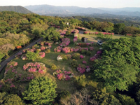 横尾岳公園