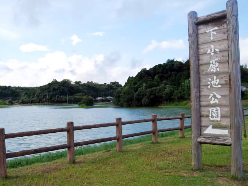 下小原池公園