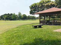 工業団地中牧公園