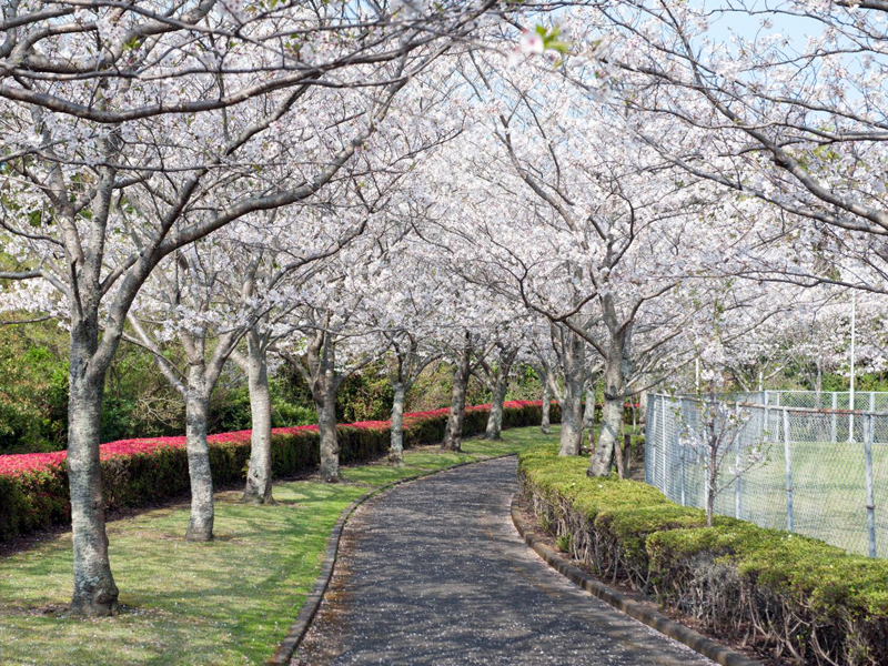 瀬戸公園