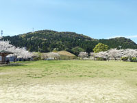 東市来運動公園