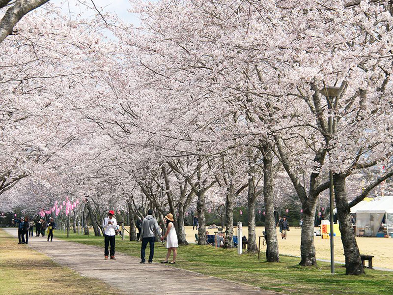 忠元公園