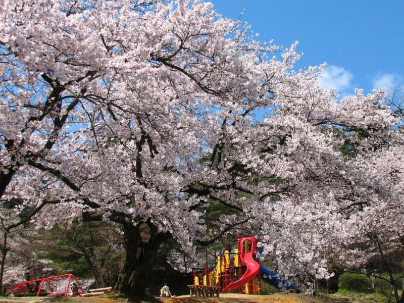 村松公園