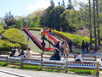 島田市中央公園