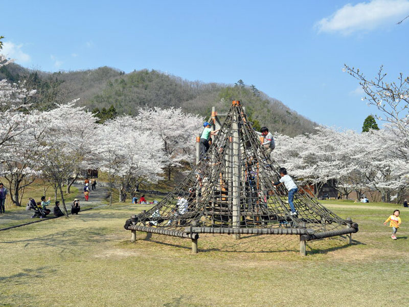 美山大野ダム公園