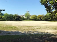 汐井公園