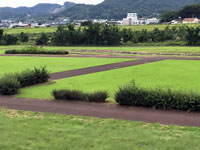 小梅琴平公園