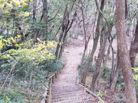 鴻巣山公園