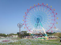 海の中道海浜公園