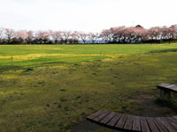 南部山健康運動公園