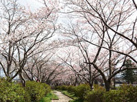 前谷地近隣公園