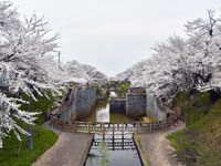 大川端帯状近隣公園