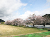 家山ふれあいスポーツ広場