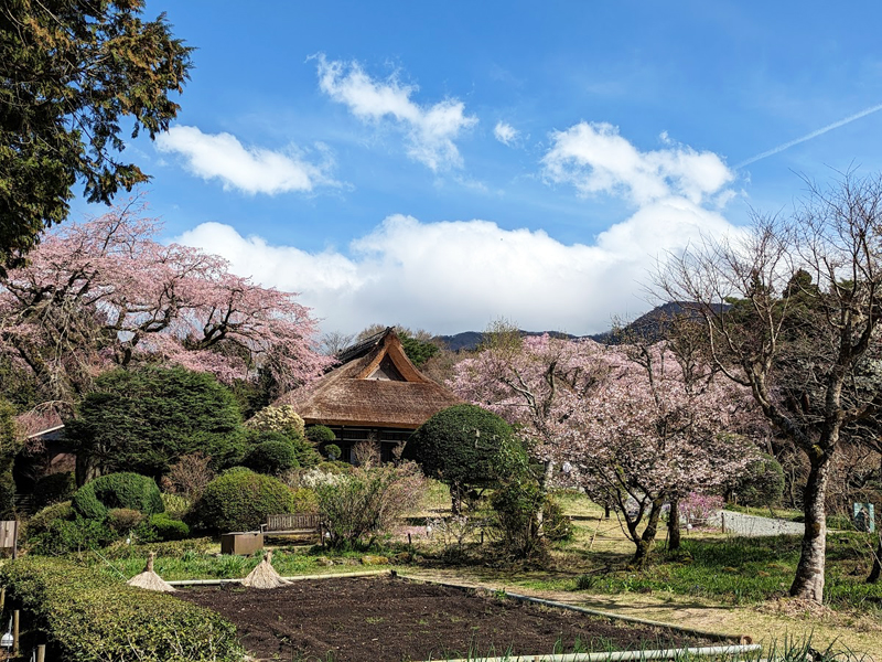 秩父宮記念公園