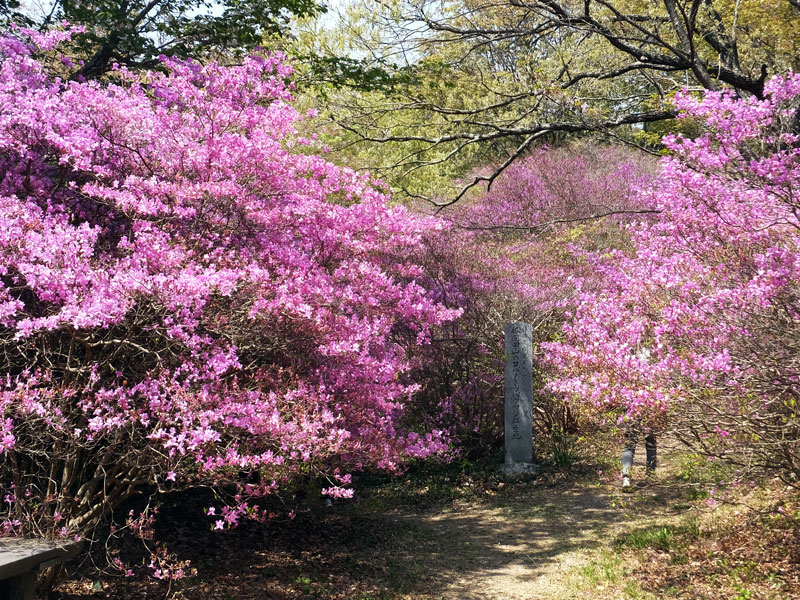 勝間田公園