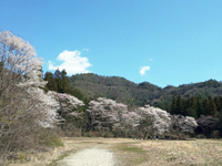 おおが城山公園