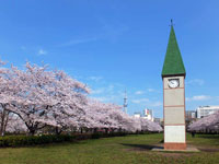 猿江恩賜公園