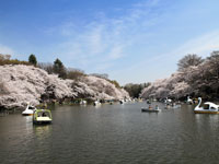 都立井の頭公園