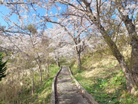元木山公園