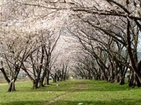 武庫川河川敷公園