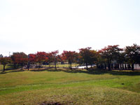 桂公園