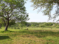 大曲の花火公園