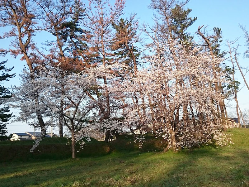 落合近隣公園