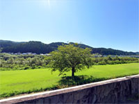 薄井河川敷公園